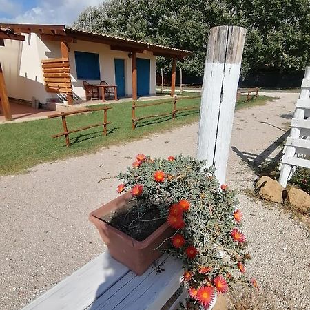 Agriturismo Oca Giuliva 丽都代皮尼 外观 照片